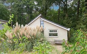 Elite Holiday Home In North Holland Near Forest